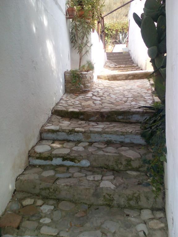 Bed & Breakfast Casa La Rosa