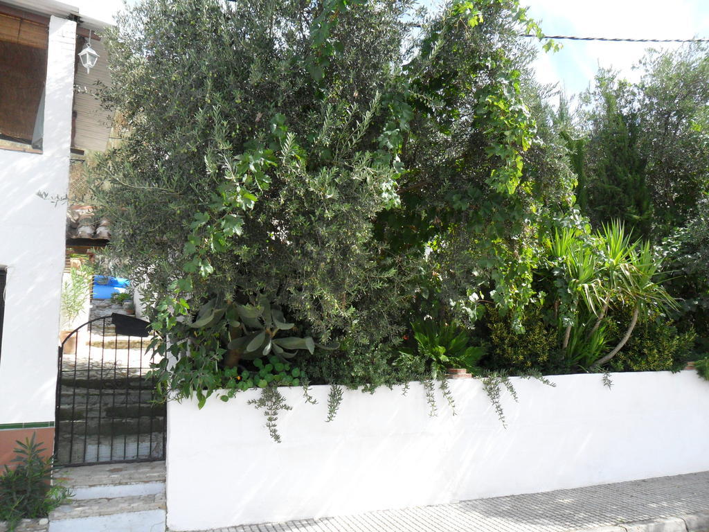Bed & Breakfast Casa La Rosa 3*