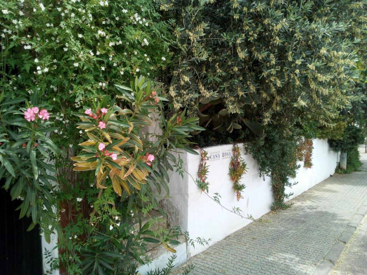 Casa La Rosa